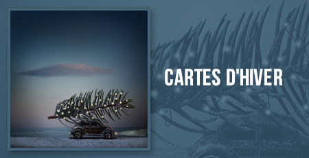 Cartes d'hiver
